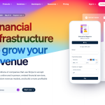 Stripe Financial Infrastructure to Grow Your Revenue.